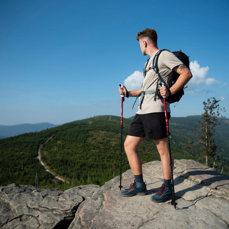 Kije trekkingowe regulowane Nils TK8601