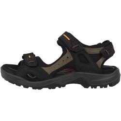 Chaussures universel hommes Ecco Offroad Trekking