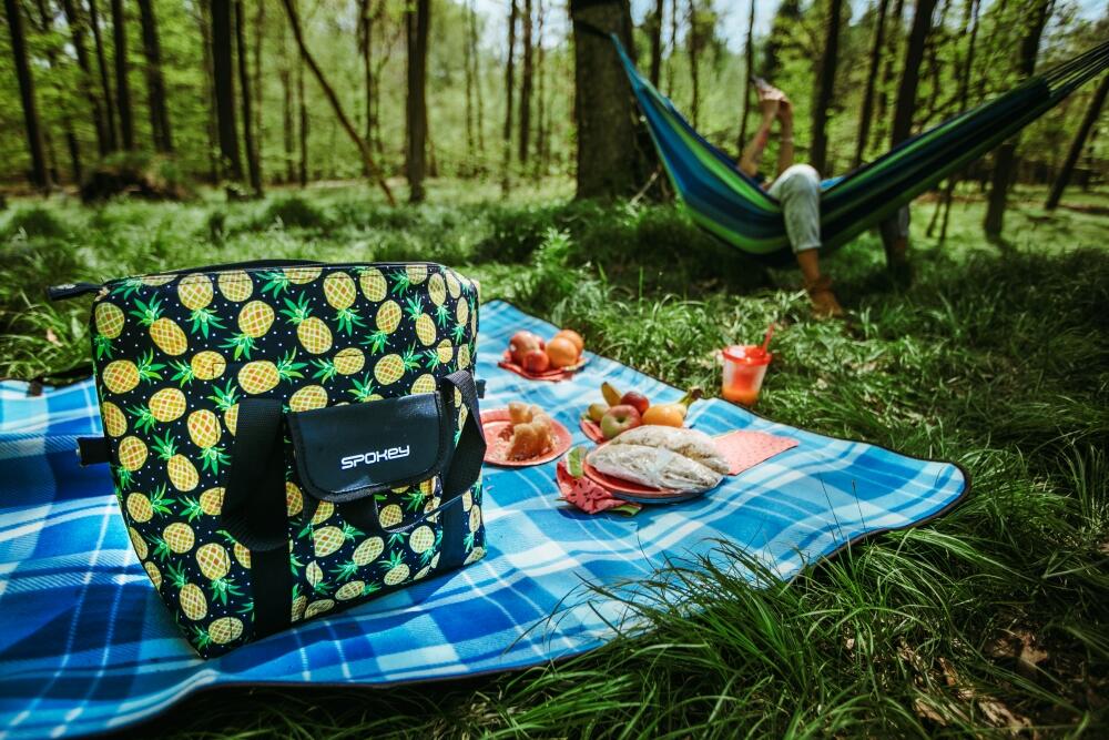 Koc turystyczny piknikowy Spokey Picnic Moor 5/7
