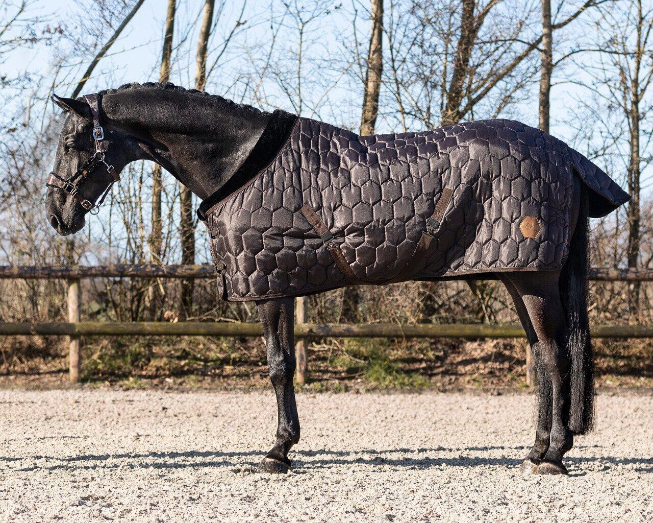 QHP QHP Staldeken Classy - Donkerbruin - 100 gram