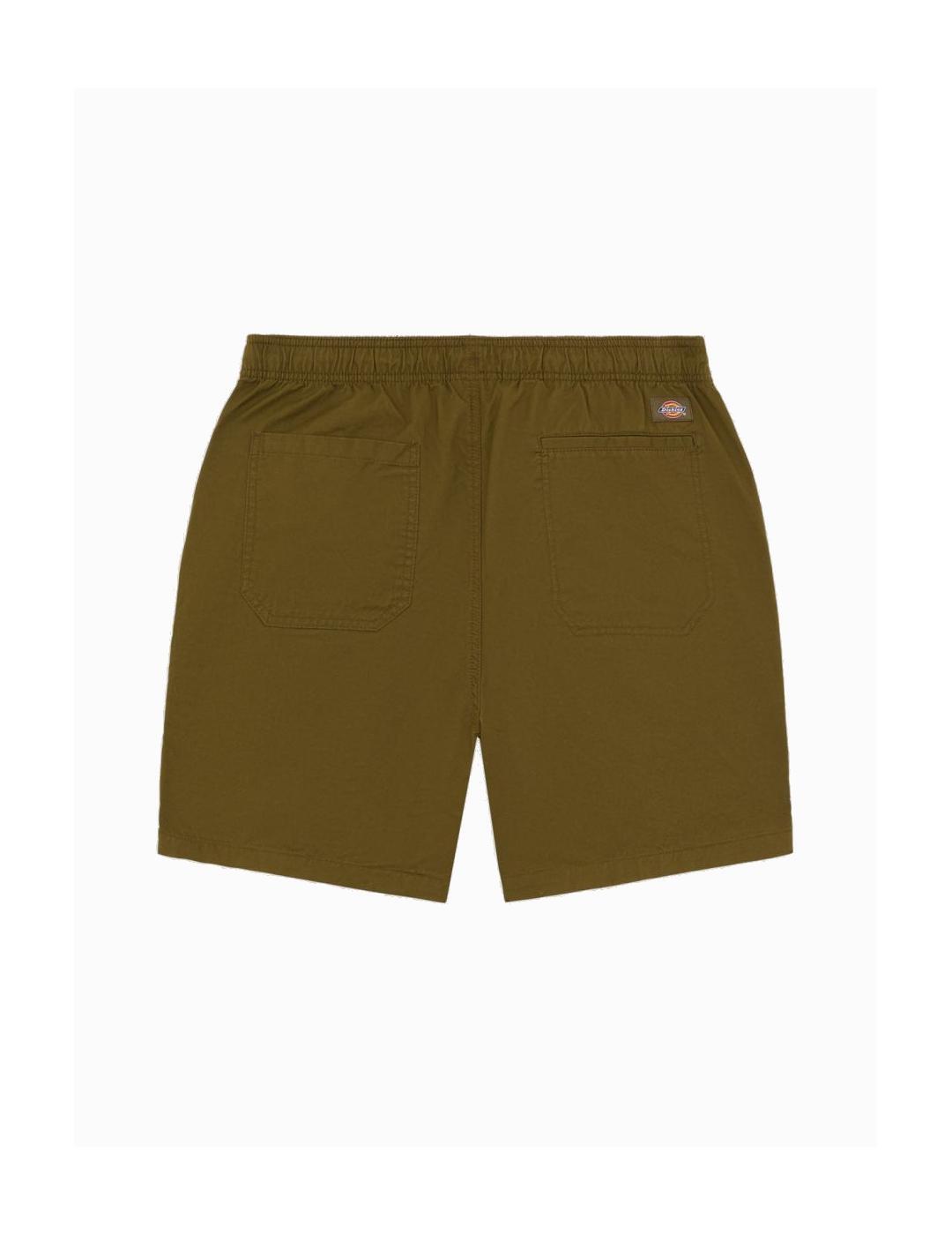 Bermudes et shorts pour homme Dickies Pelican rapids vert 2/4