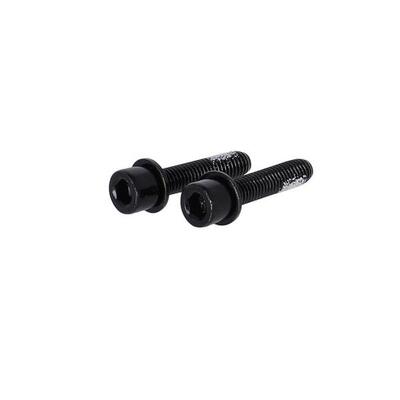 TRP Flat Mount Schrauben 22mm