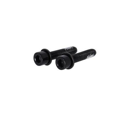 TRP Flat Mount Schrauben 22mm