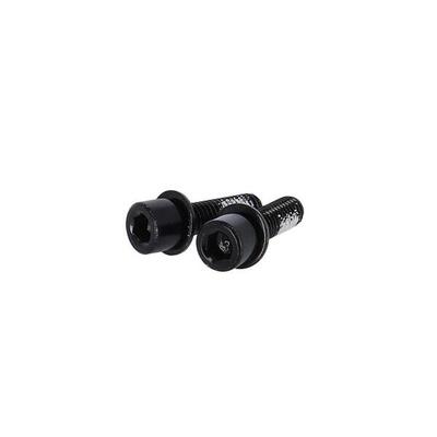 TRP Flat Mount Schrauben 17mm