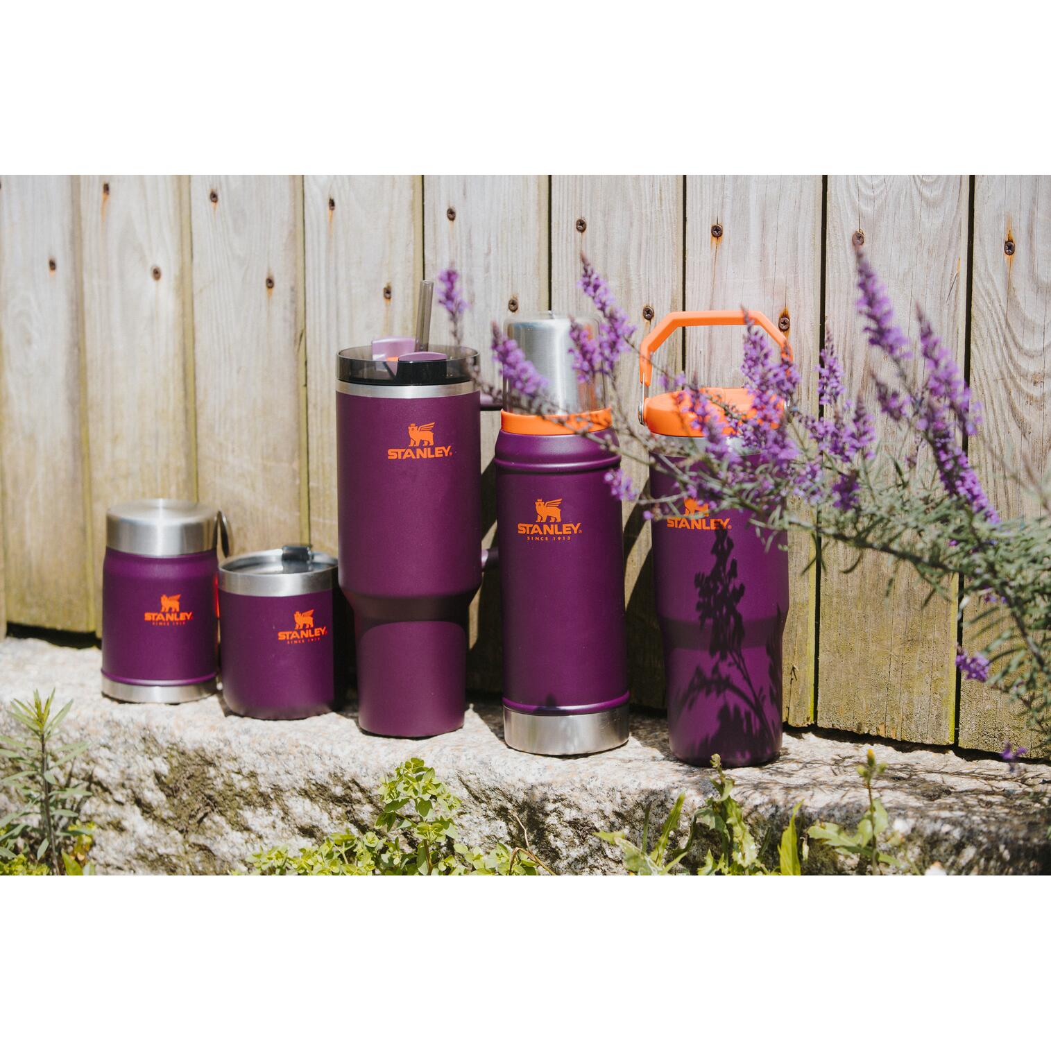 Thermosfles 'Classic' - 0,75L Wandelen Fietsen Dubbelwandige Vacuüm Isoleerfles 5/7