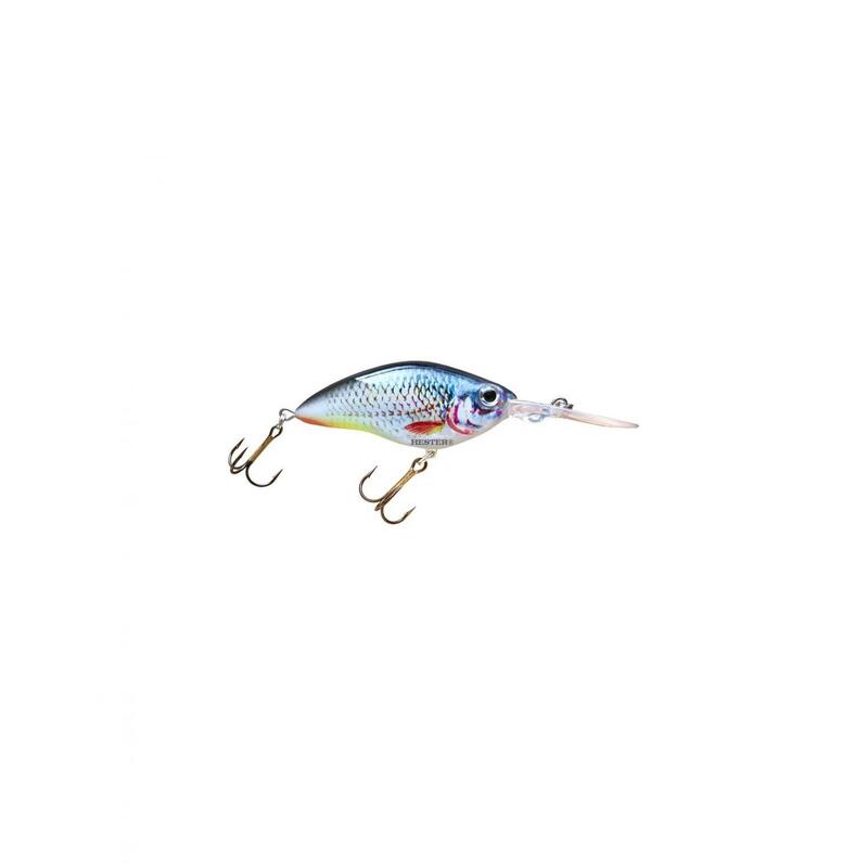 ec23b1ea-8f5a-444f-a4d9-73dd6dc38aa0_novar
