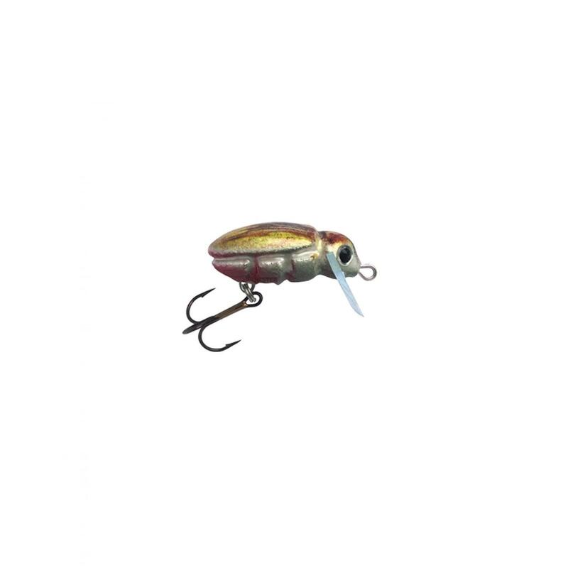 2e2544fd-4be6-47b4-abed-e87510f5ec58_novar