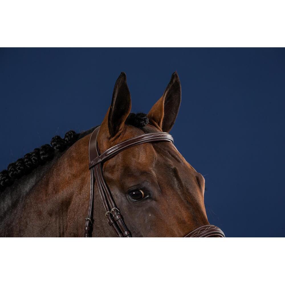 Briglia da equitazione anatomica con nasello largo Dy'on Hunter 3/4