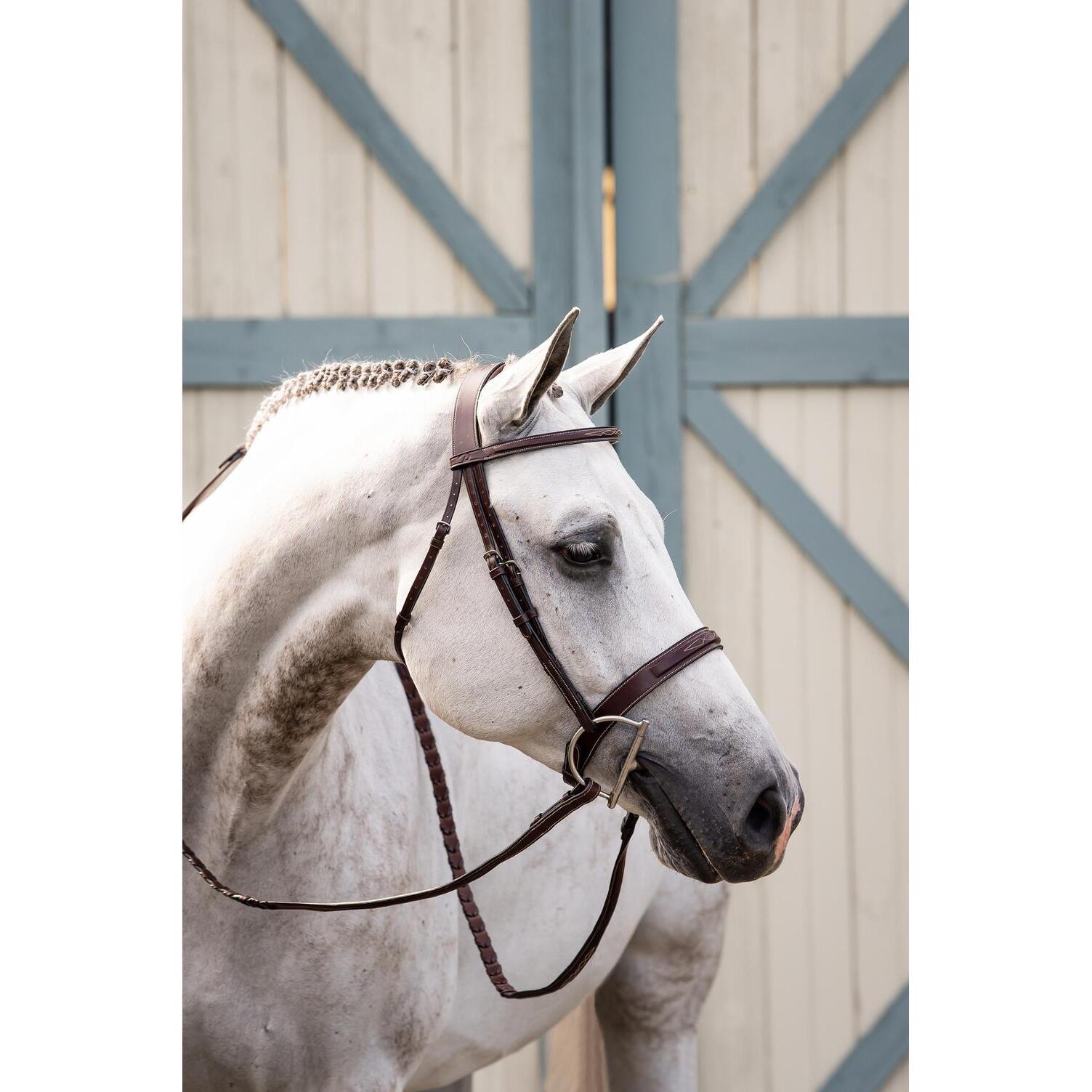 Briglia da equitazione anatomica con nasello largo Dy'on Hunter 4/4