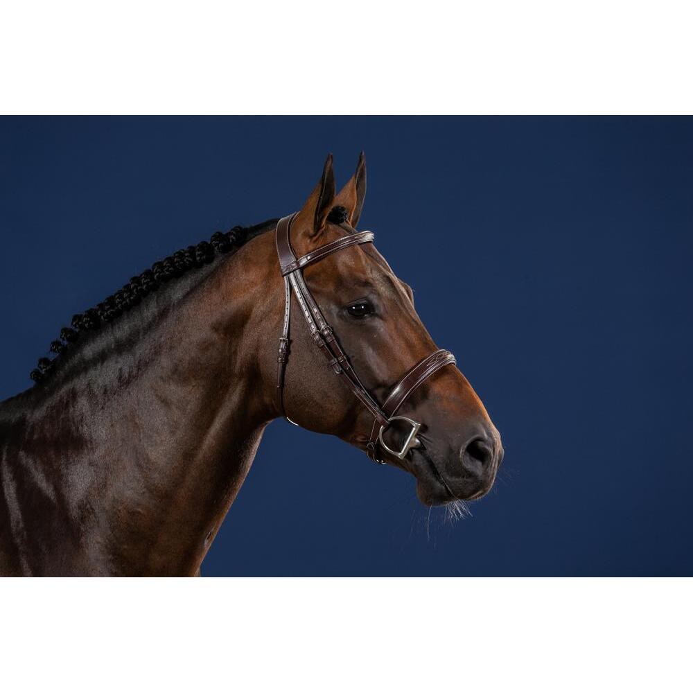 Briglia da equitazione anatomica con nasello largo Dy'on Hunter 2/4