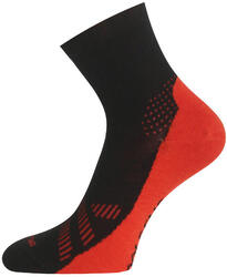 Chaussettes en mérinos FWT