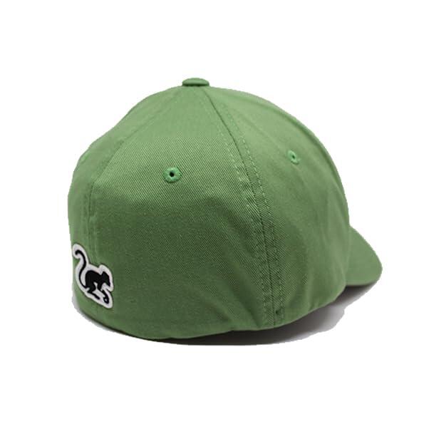 Casquette de baseball unisexe extensible (sauge) 2/4