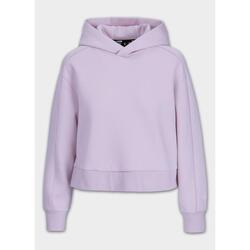 Sweat à capuche Pitbull Discovery