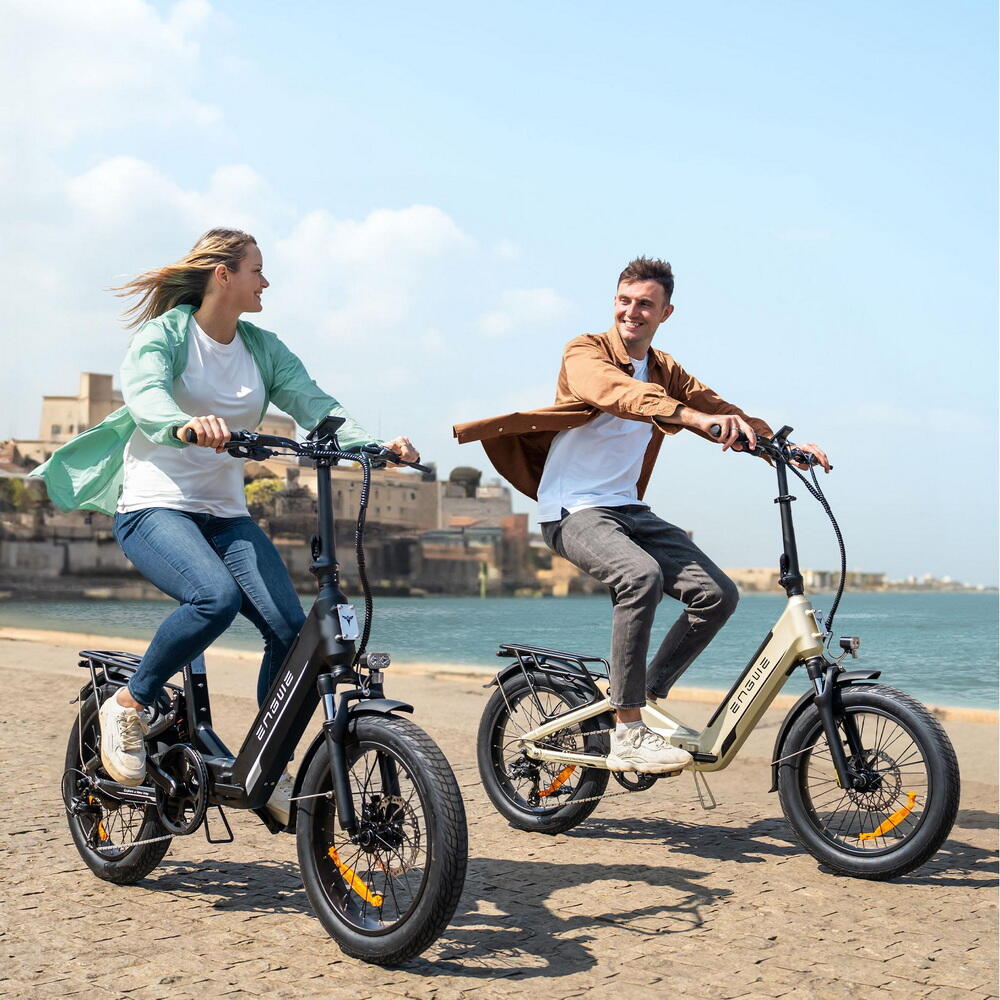 L20 3.0 Boost Bicicleta Eléctrica 250W 48V 13.5Ah Dorada 4/6