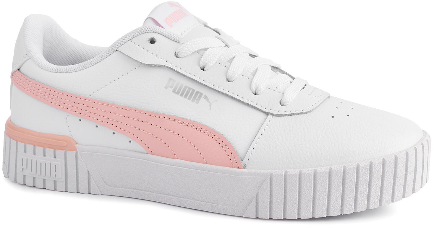 PUMA picture