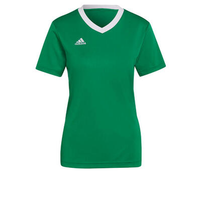 Damestrui adidas entrada 22