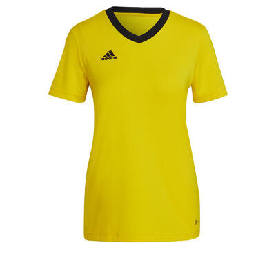 Damestrui adidas entrada 22