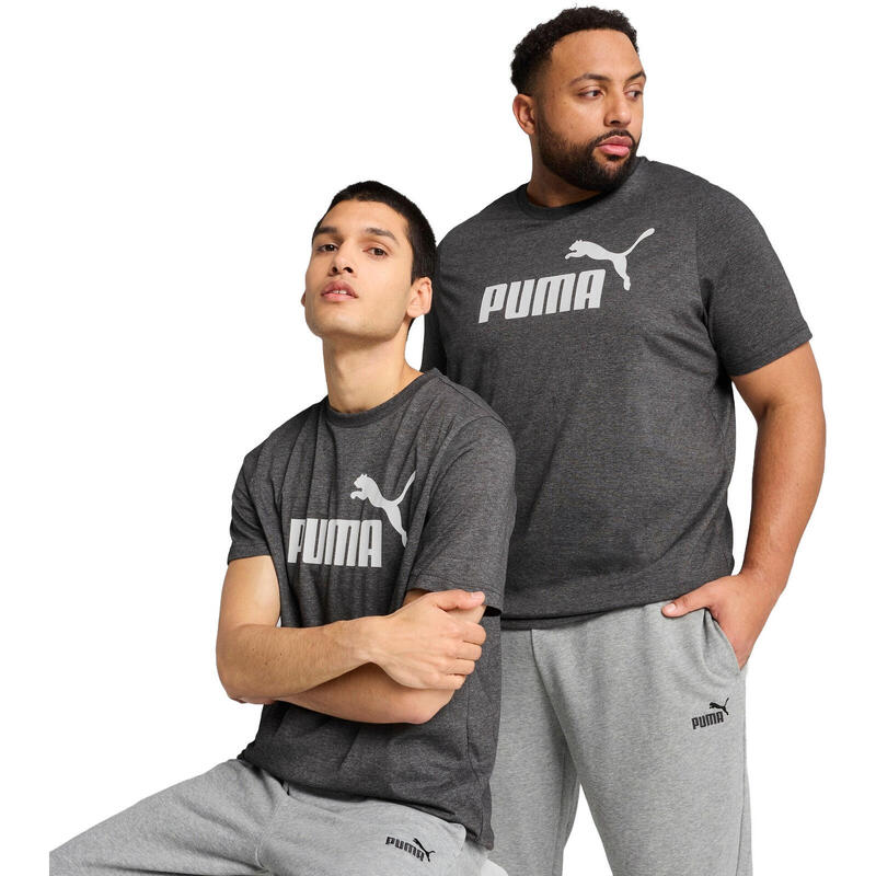 5036fb72-454e-48c1-afaf-408f983f222d_c251