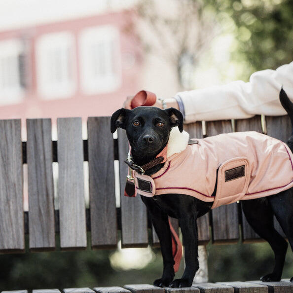 KENTUCKY HORSEWEAR picture