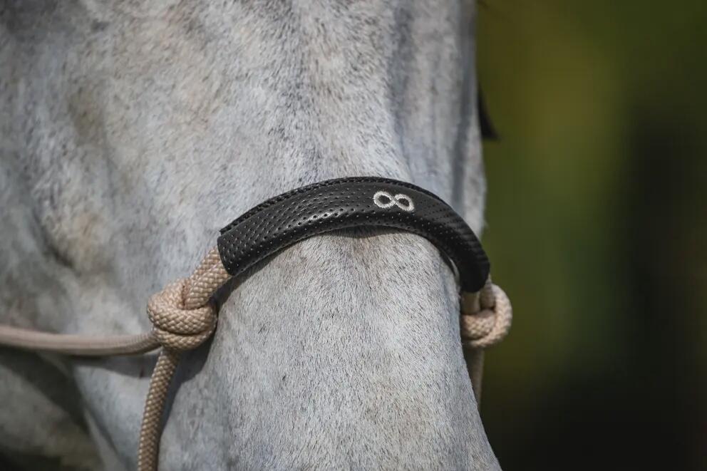 DY'ON Black Dy'on Training Head Collar