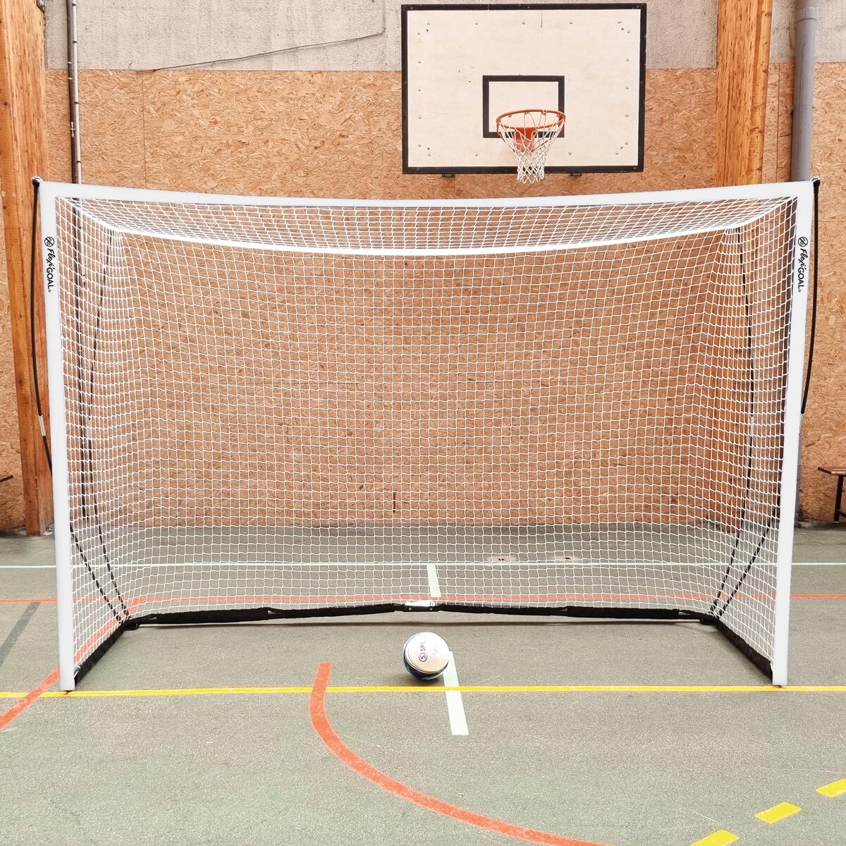 SPORTI FRANCE picture