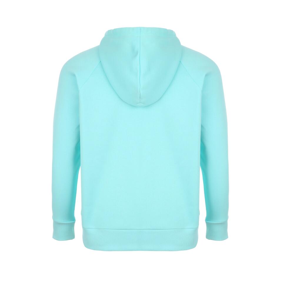 Bluza damska Under Armour Rival Fleece Graphic Hoody