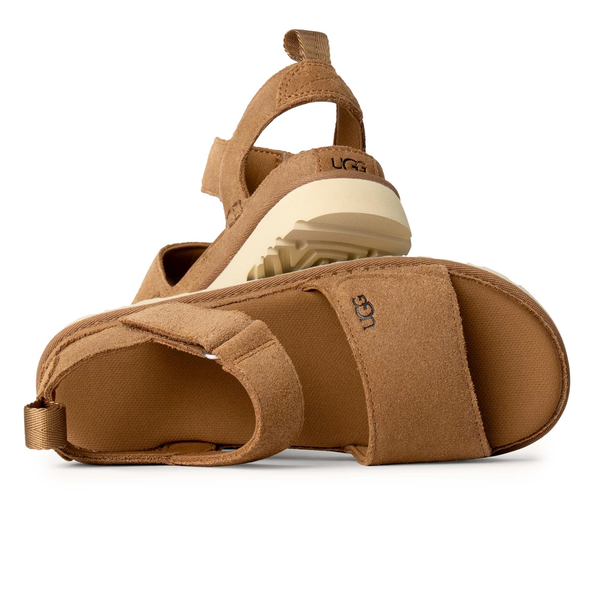 Bottines Ugg Australiennes Avec Goldenstar Femme 2/5