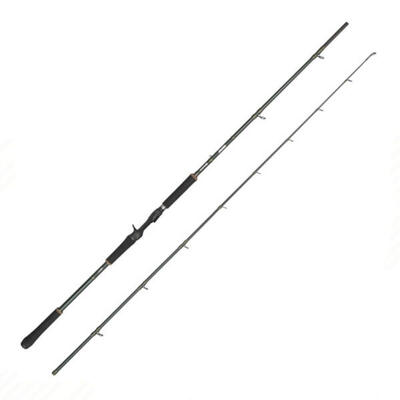 Canna Casting Beast X2 2.54mt 40-140gr