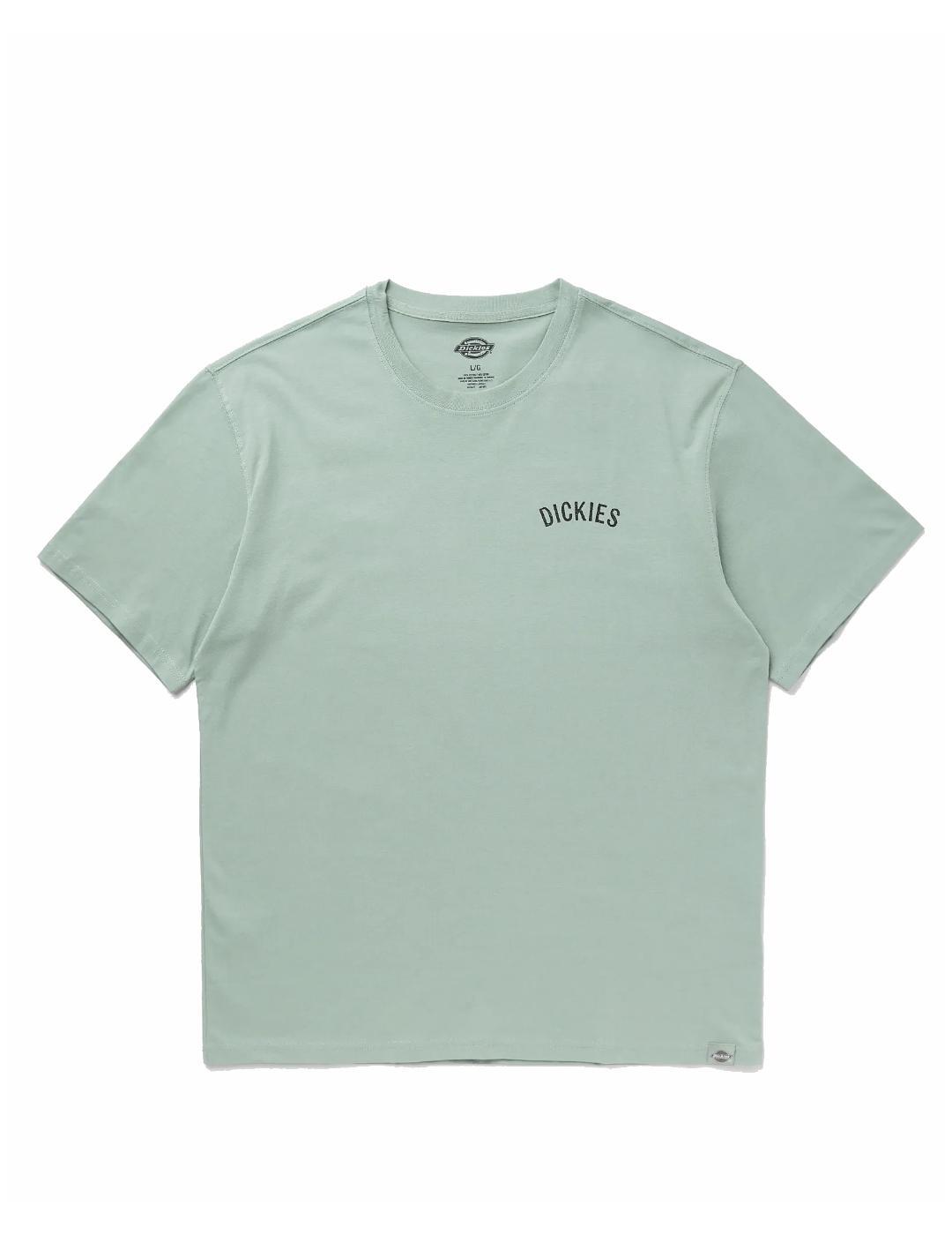 Camiseta para Hombre Dickies Snake ss  Verde 3/4