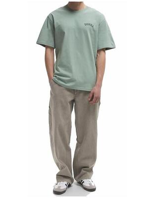 Camiseta para Hombre Dickies Snake ss Verde