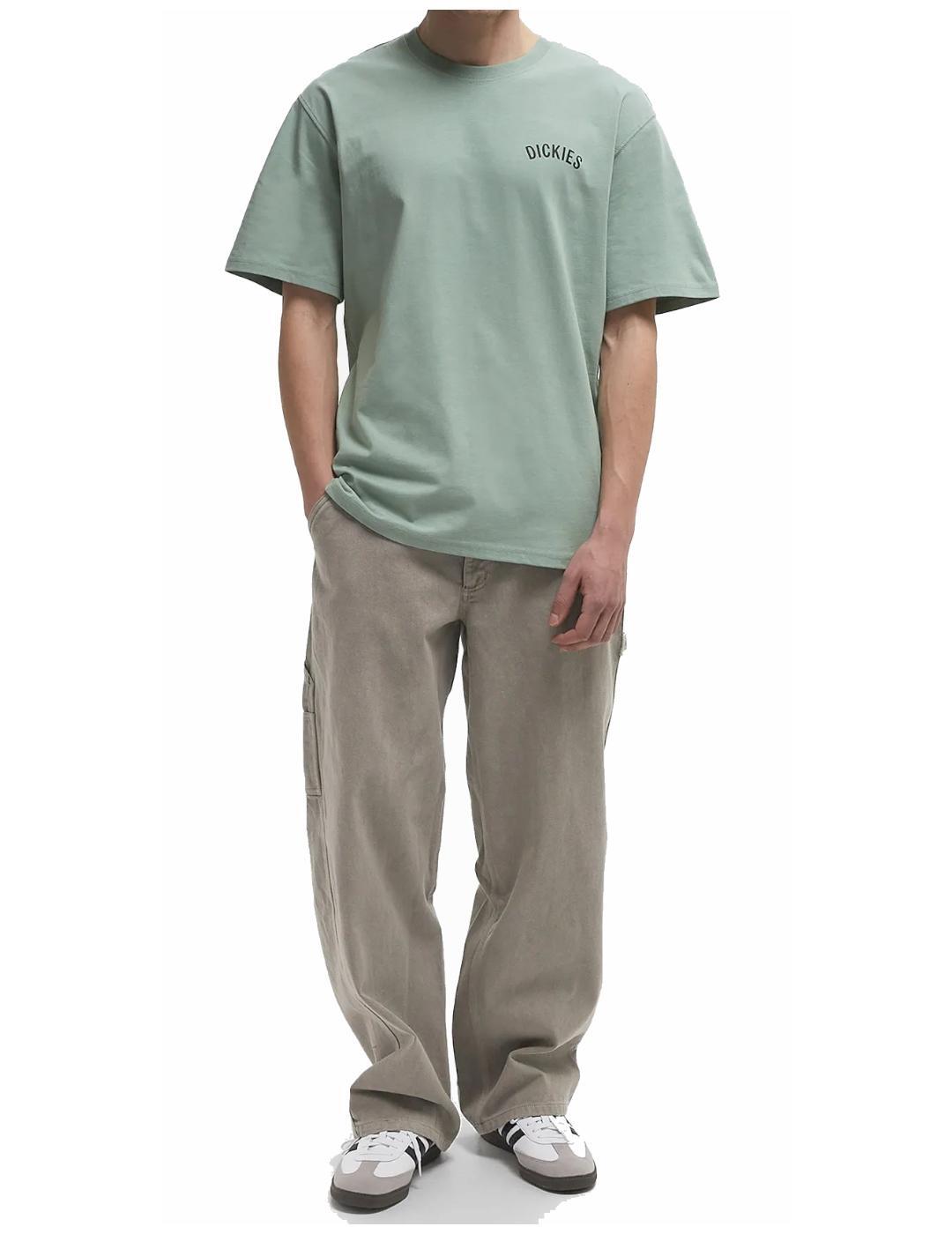 Camiseta para Hombre Dickies Snake ss  Verde 1/4