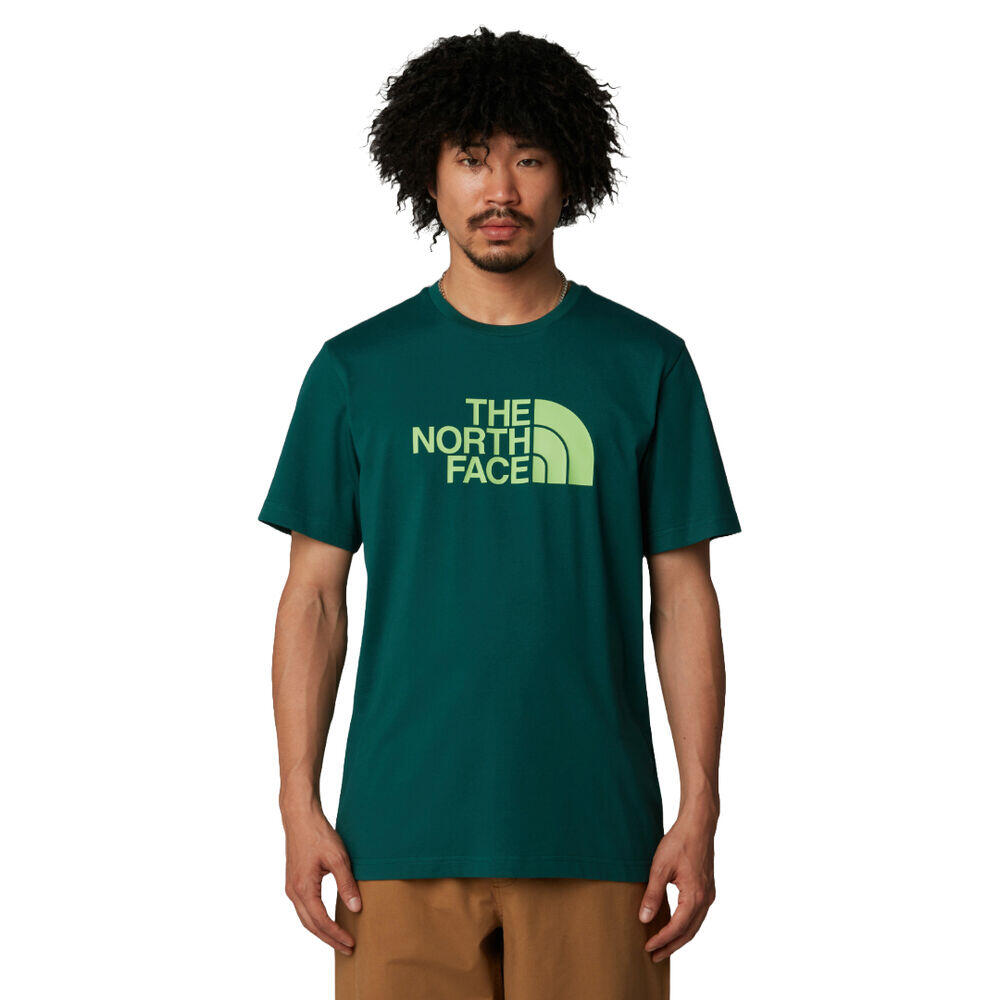 T-shirt Uomo   M ss easy tee verde NF0A8A6CA6O 3/5