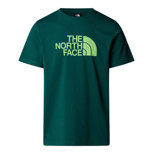 T-shirt Uomo   M ss easy tee verde NF0A8A6CA6O 5/5