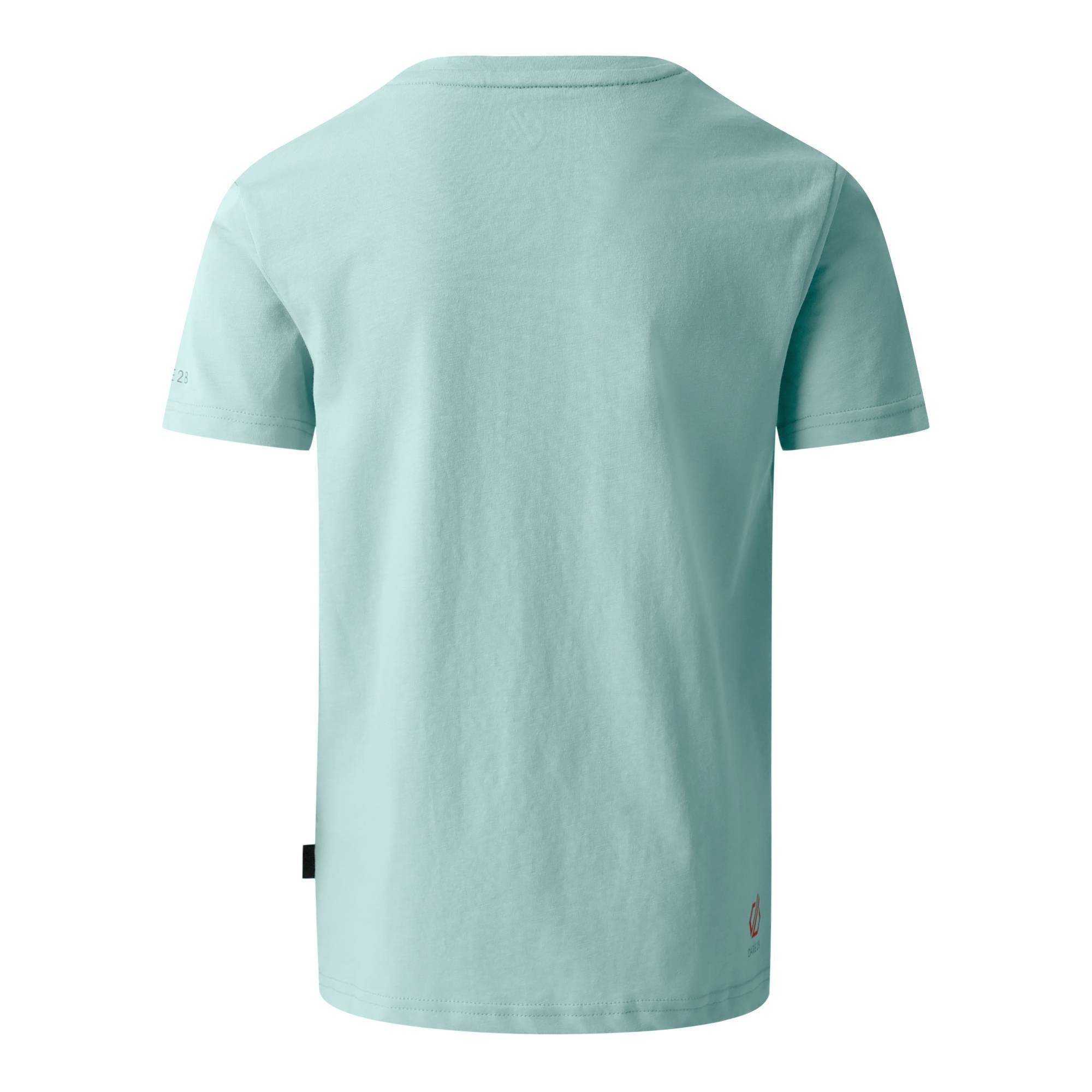 Childrens/Kids Trailblazer II Tortoise TShirt (Aquifer) 2/4