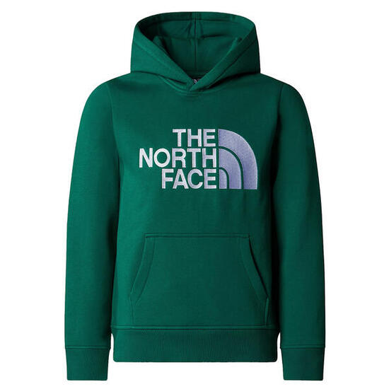 Felpa Bambino Felpa verde NF0A89HHNL1