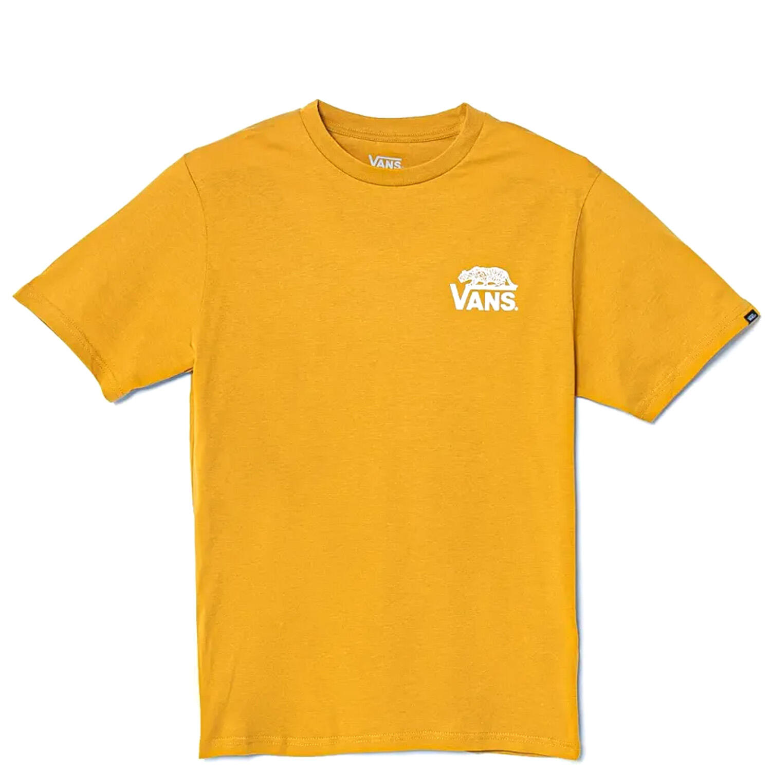 VANS picture