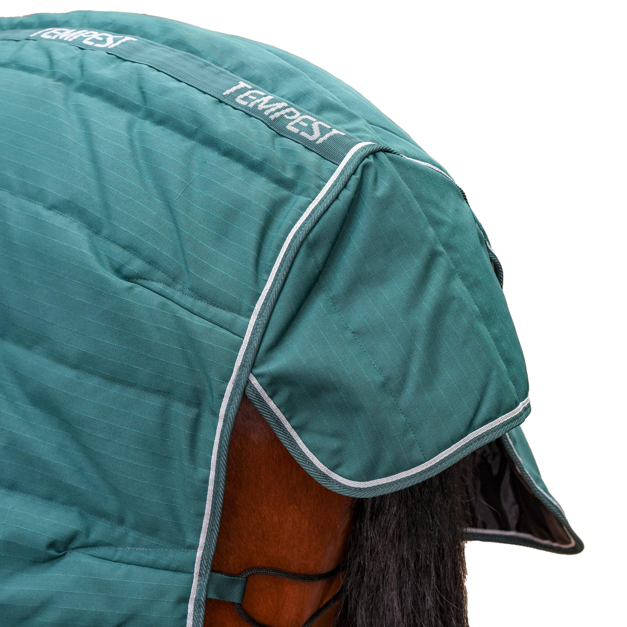 Couverture De Box Pour Chevaux TEMPEST ORIGINAL (Émeraude) 2/4