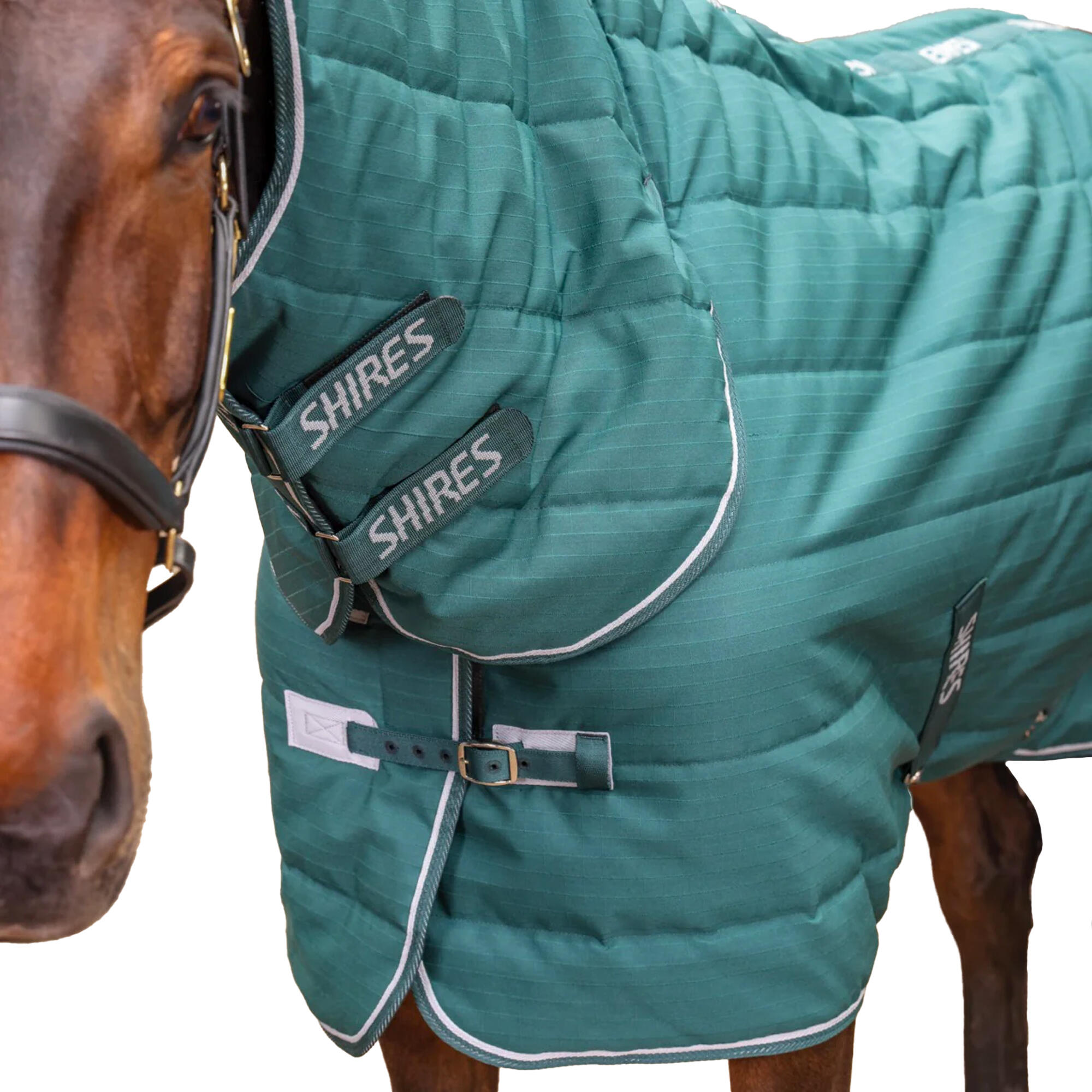 Couverture De Box Pour Chevaux TEMPEST ORIGINAL (Émeraude) 3/4