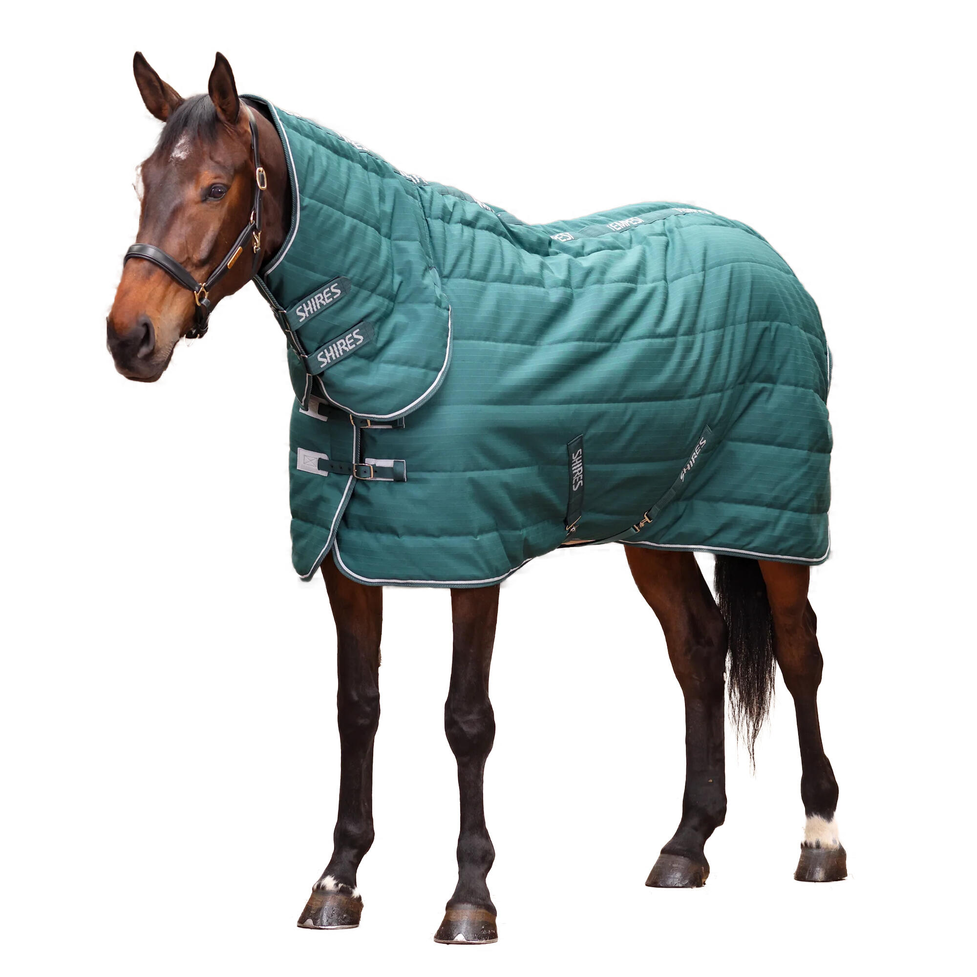 Couverture De Box Pour Chevaux TEMPEST ORIGINAL (Émeraude) 1/4