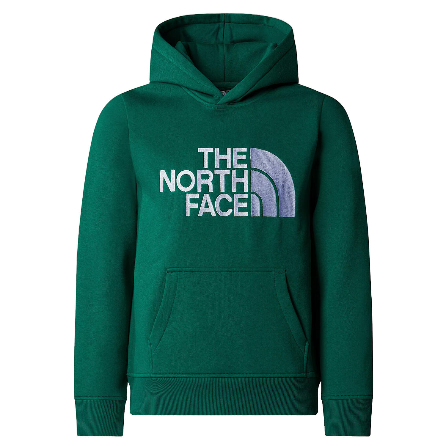 The north face - Sudadera verde NF0A89HHNL1 1/1