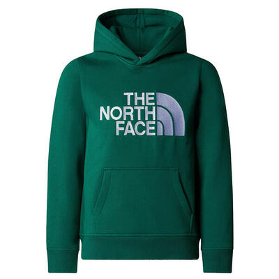 Felpa Bambino Felpa verde NF0A89HHNL1