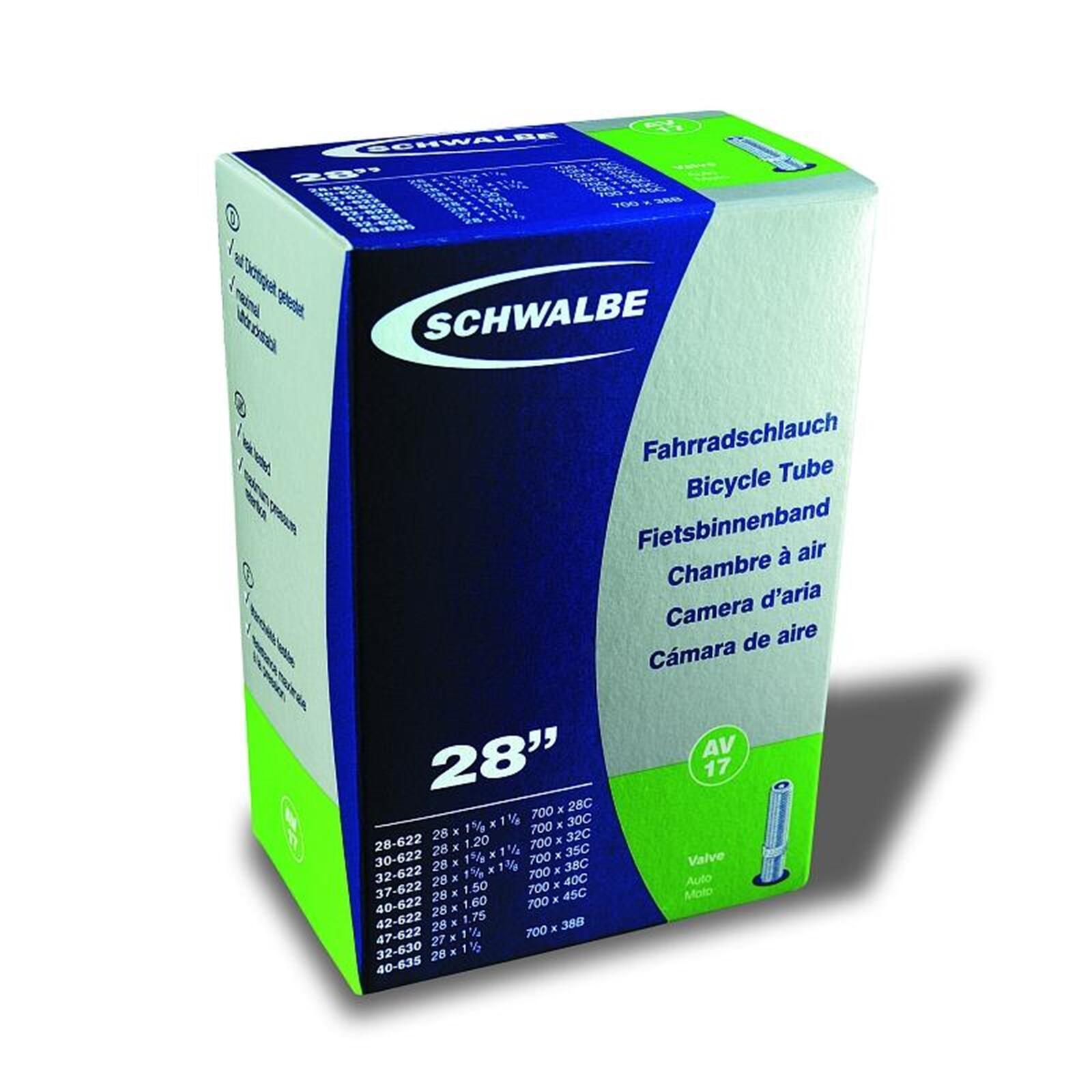 SCHWALBE picture