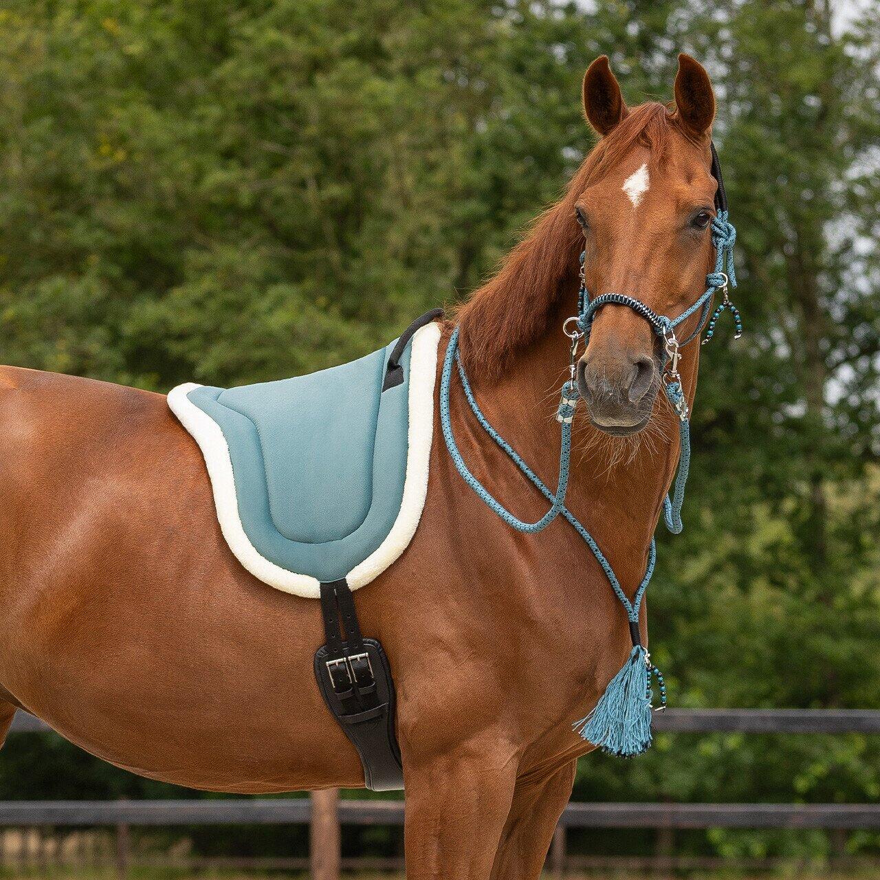 QHP Bareback Pad - Petrol (Shetland) 2/3
