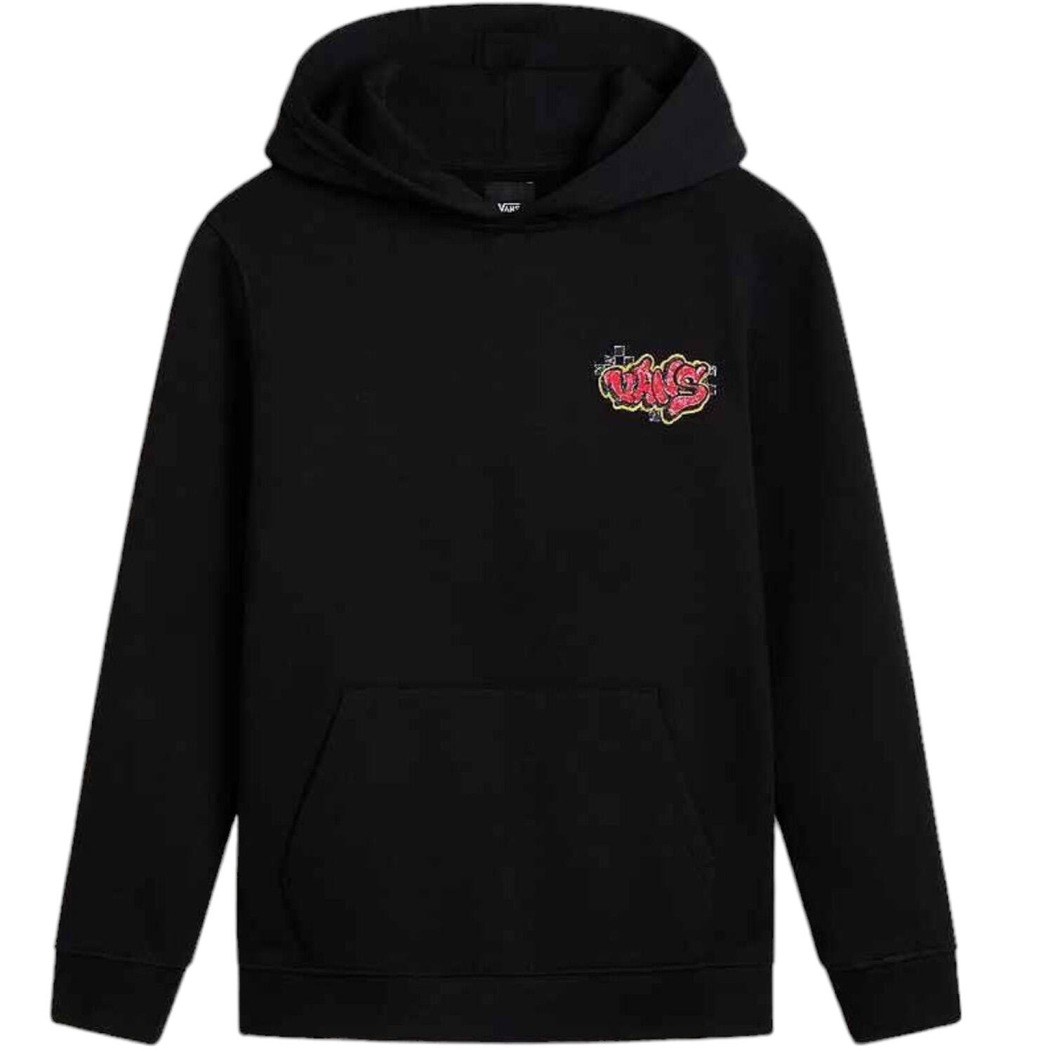 VANS picture
