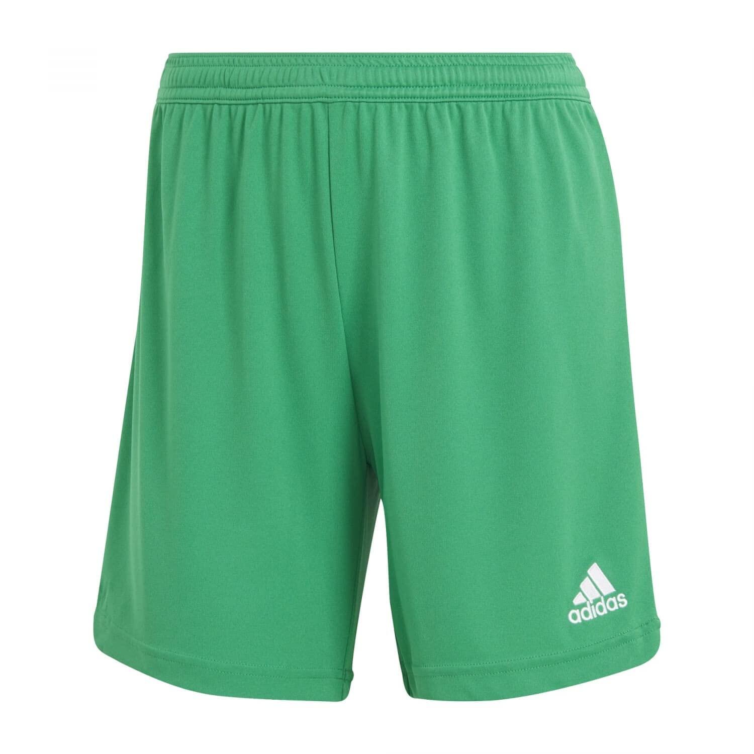 ADIDAS Pantaloncini Sportivi Adidas Donna Ent22 AEROREADY in Verde Team