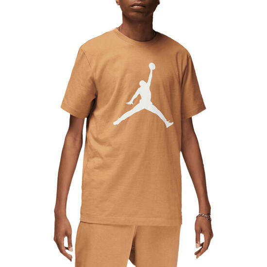 Nike - Camiseta Jordan marrón CJ0921-231