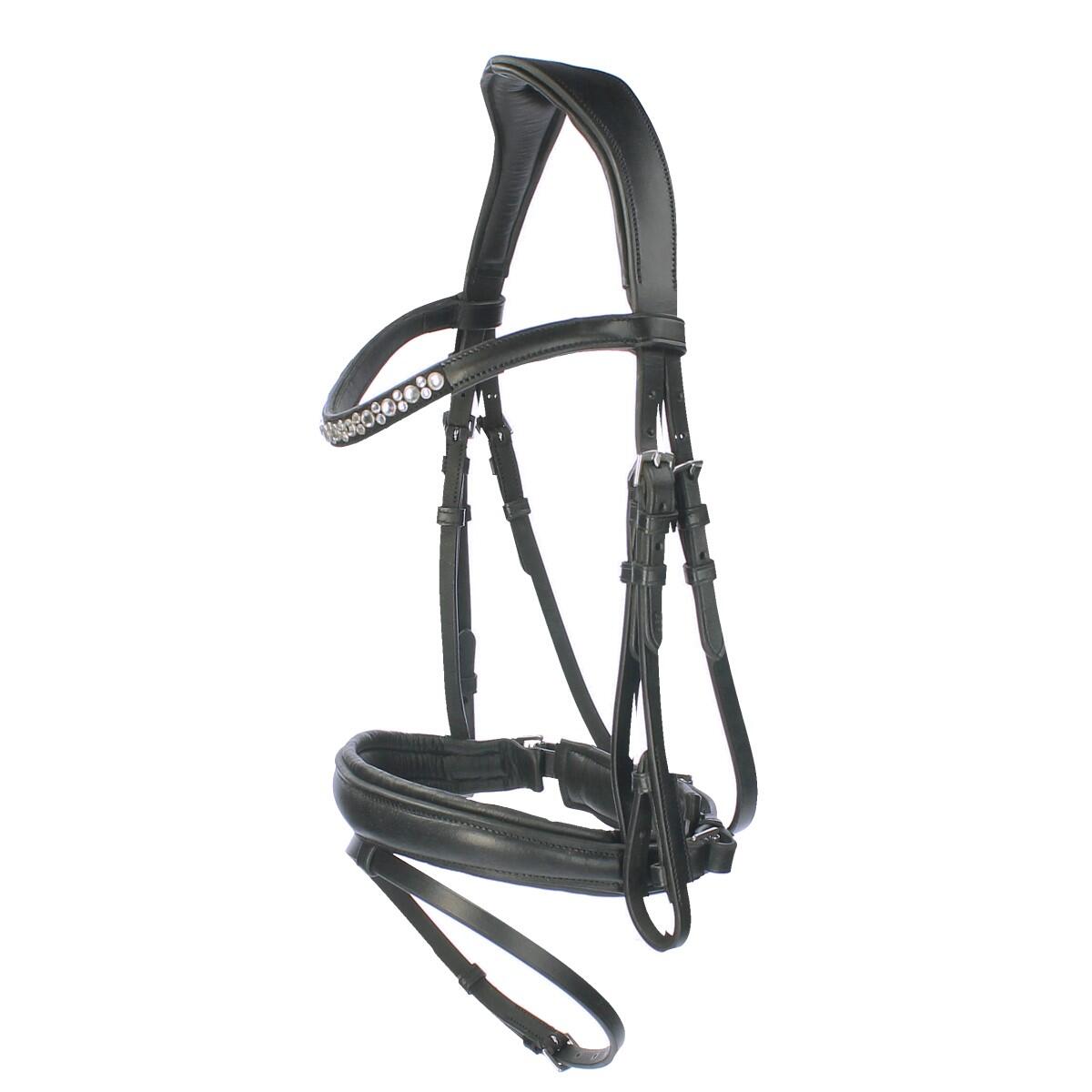 HORSEGEAR picture