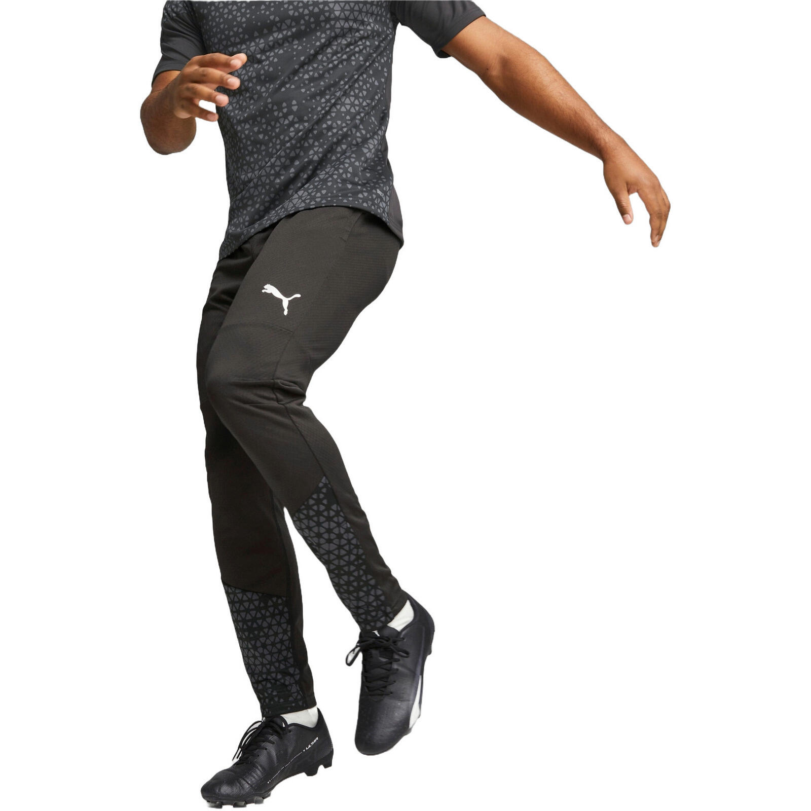 PUMA picture