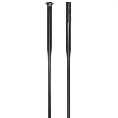DT SWISS Speichen Revolite 2.0X1.3X288Mm Karton 20 Stück Schwarz Straightpull...