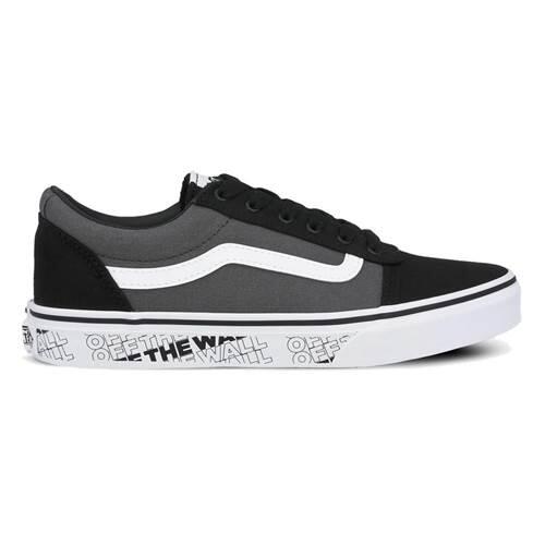 VANS picture